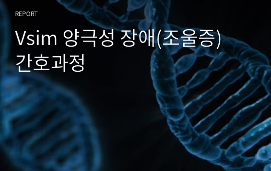 Vsim 양극성 장애(조울증) 간호과정