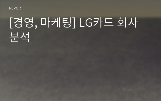 [경영, 마케팅] LG카드 회사분석