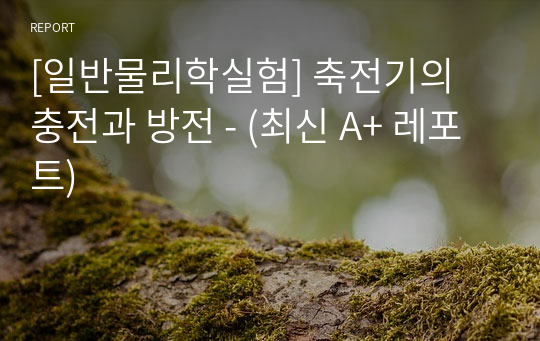 [일반물리학실험] 축전기의 충전과 방전 - (최신 A+ 레포트)