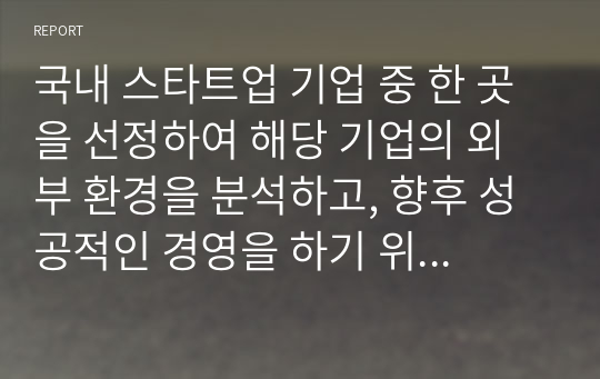 국내 스타트업 기업 중 한 곳을 선정하여 해당 기업의 외부 환경을 분석하고, 향후 성공적인 경영을 하기 위한 개선방안을 제시하시오.