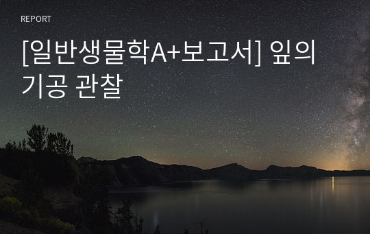 [일반생물학A+보고서] 잎의 기공 관찰