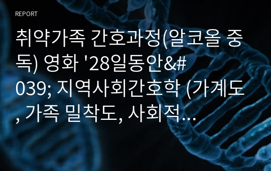 취약가족 간호과정(알코올 중독) 영화 &#039;28일동안&#039; 지역사회간호학 (가계도, 가족 밀착도, 사회적 지지도, 외부체계도)