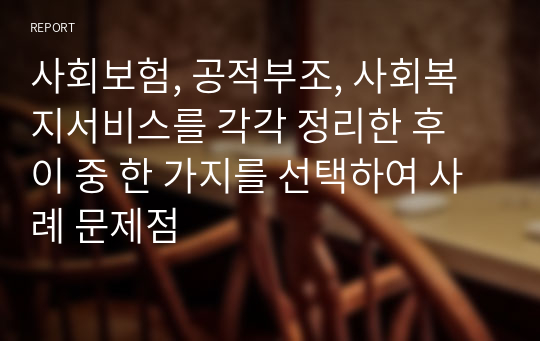 사회보험, 공적부조, 사회복지서비스를 각각 정리한 후 이 중 한 가지를 선택하여 사례 문제점