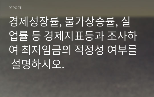 경제성장률, 물가상승률, 실업률 등 경제지표등과 조사하여 최저임금의 적정성 여부를 설명하시오.