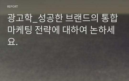 광고학_성공한 브랜드의 통합마케팅 전략에 대하여 논하세요.