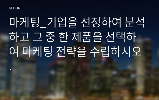 마케팅_기업을 선정하여 분석하고 그 중 한 제품을 선택하여 마케팅 전략을 수립하시오.