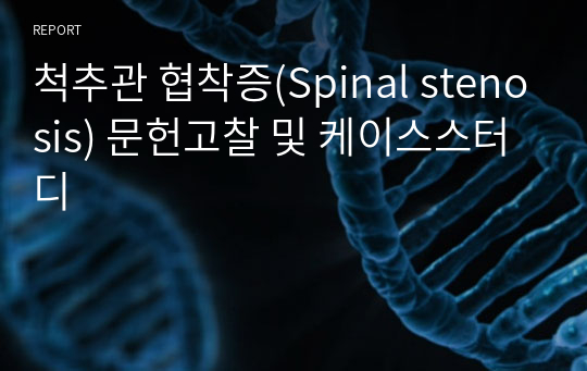 척추관 협착증(Spinal stenosis) 문헌고찰 및 케이스스터디