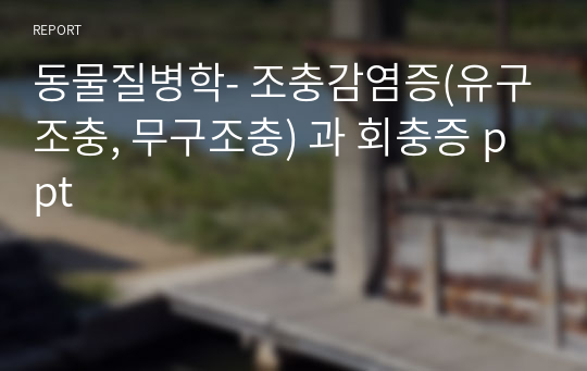 동물질병학- 조충감염증(유구조충, 무구조충) 과 회충증 ppt