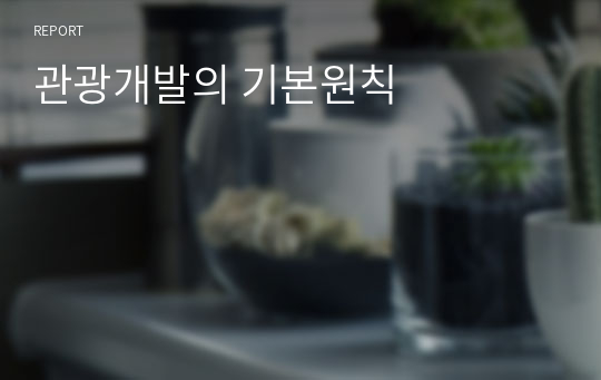 관광개발의 기본원칙