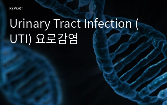 Urinary Tract Infection (UTI) 요로감염