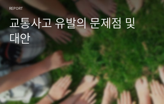 교통사고 유발의 문제점 및 대안