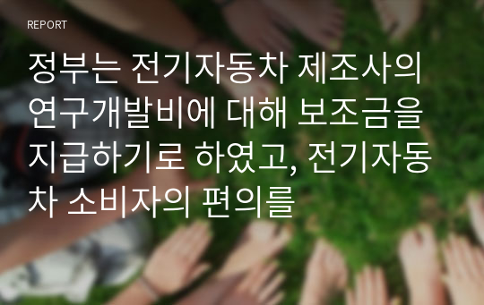 정부는 전기자동차 제조사의 연구개발비에 대해 보조금을 지급하기로 하였고, 전기자동차 소비자의 편의를