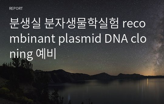 분생실 분자생물학실험 recombinant plasmid DNA cloning 예비