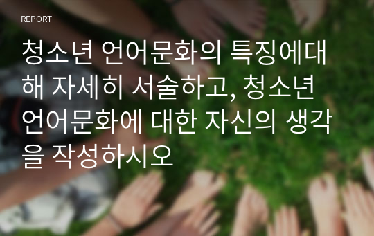 청소년 언어문화의 특징에대해 자세히 서술하고, 청소년 언어문화에 대한 자신의 생각을 작성하시오