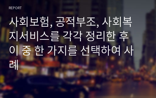 사회보험, 공적부조, 사회복지서비스를 각각 정리한 후 이 중 한 가지를 선택하여 사례