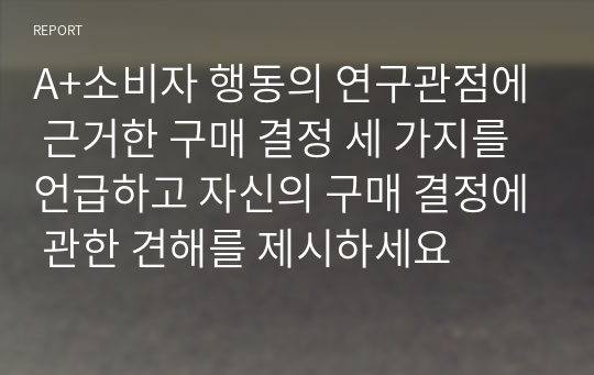 A+소비자 행동의 연구관점에 근거한 구매 결정 세 가지를 언급하고 자신의 구매 결정에 관한 견해를 제시하세요