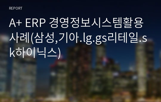 A+ ERP 경영정보시스템활용사례(삼성,기아.lg.gs리테일.sk하이닉스)