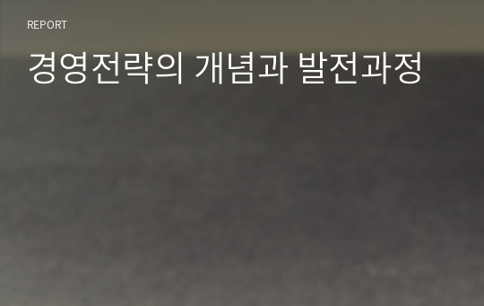 경영전략의 개념과 발전과정