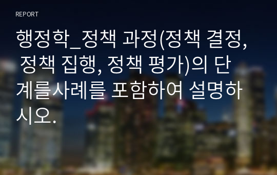 행정학_정책 과정(정책 결정, 정책 집행, 정책 평가)의 단계를사례를 포함하여 설명하시오.