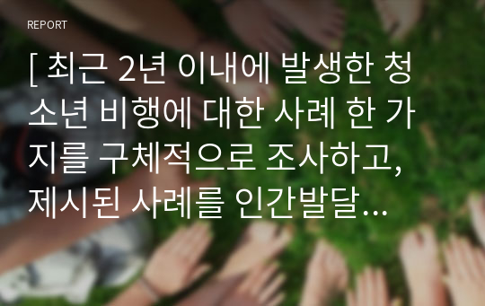 [ 최근 2년 이내에 발생한 청소년 비행에 대한 사례 한 가지를 구체적으로 조사하고, 제시된 사례를 인간발달생태학적 측면에서 해석하시오. 또한 그 문제를 해결할 수 있는 방법에 대한 개인의견을 제시하시오. ]