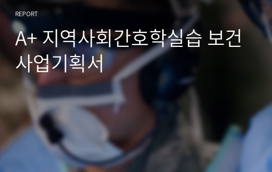 A+ 지역사회간호학실습 보건사업기획서