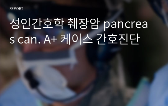 성인간호학 췌장암 pancreas can. A+ 케이스 간호진단