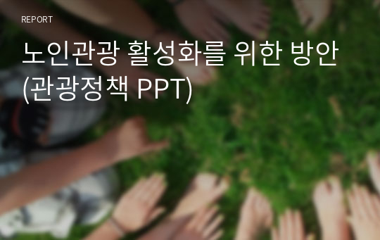 노인관광 활성화를 위한 방안(관광정책 PPT)