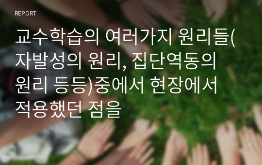 교수학습의 여러가지 원리들(자발성의 원리, 집단역동의 원리 등등)중에서 현장에서 적용했던 점을