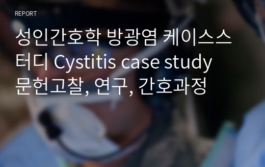 성인간호학 방광염 케이스스터디 Cystitis case study 문헌고찰, 연구, 간호과정