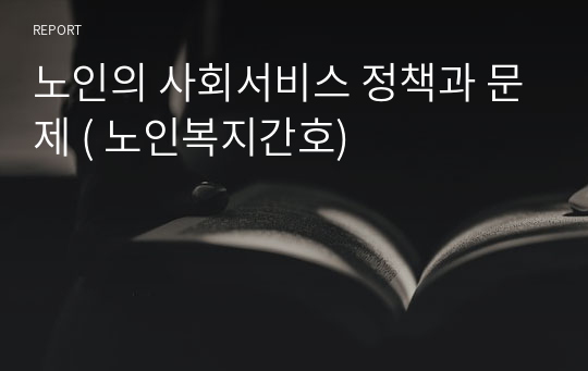 노인의 사회서비스 정책과 문제 ( 노인복지간호)