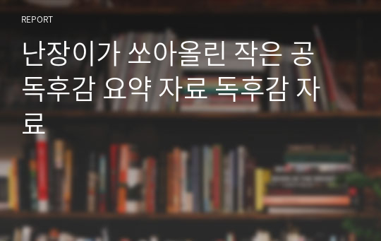 난장이가 쏘아올린 작은 공 독후감 요약 자료 독후감 자료