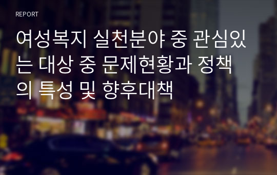 여성복지 실천분야 중 관심있는 대상 중 문제현황과 정책의 특성 및 향후대책