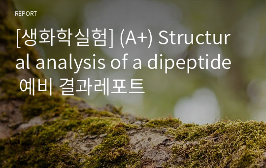 [생화학실험] (A+) Structural analysis of a dipeptide 예비 결과레포트