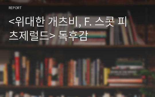 &lt;위대한 개츠비, F. 스콧 피츠제럴드&gt; 독후감