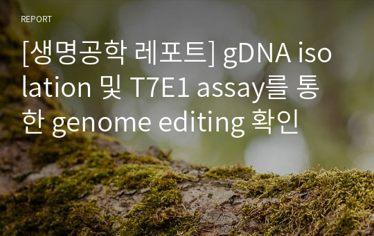 [생명공학 레포트] gDNA isolation 및 T7E1 assay를 통한 genome editing 확인
