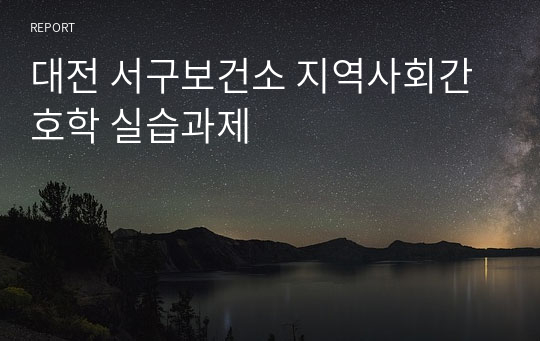 대전 서구보건소 지역사회간호학 실습과제