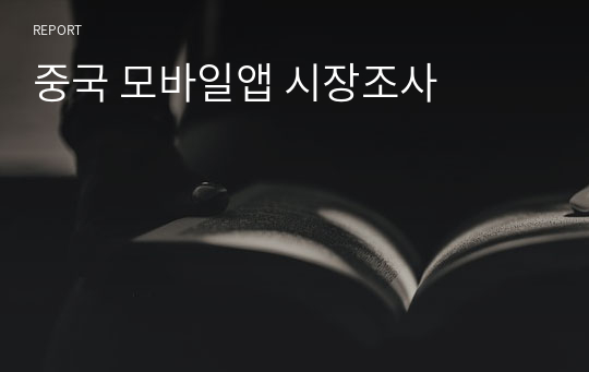 중국 모바일앱 시장조사