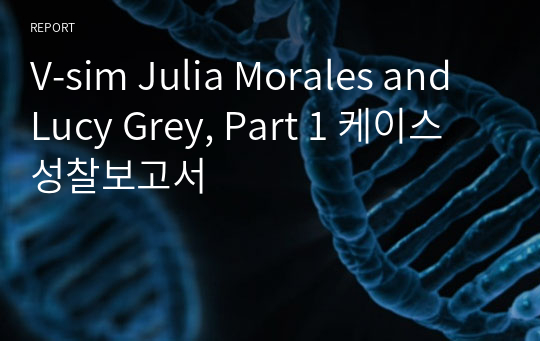 V-sim Julia Morales and Lucy Grey, Part 1 케이스 성찰보고서