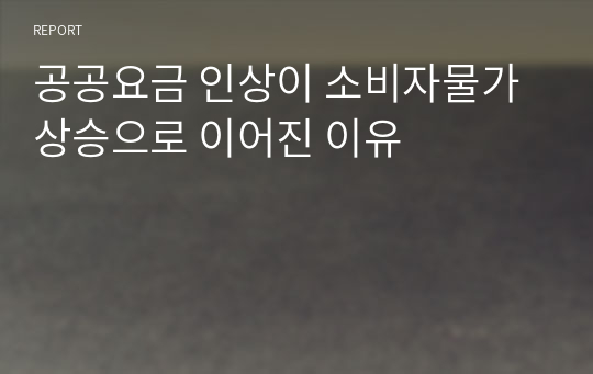 공공요금 인상이 소비자물가 상승으로 이어진 이유