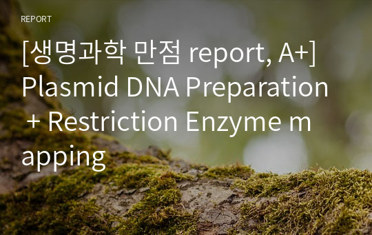 [생명과학 만점 report, A+] Plasmid DNA Preparation + Restriction Enzyme mapping