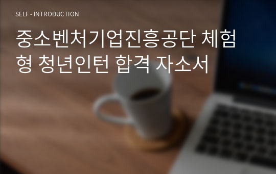 중소벤처기업진흥공단 체험형 청년인턴 합격 자소서