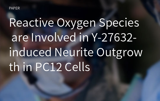 Reactive Oxygen Species are Involved in Y-27632-induced Neurite Outgrowth in PC12 Cells