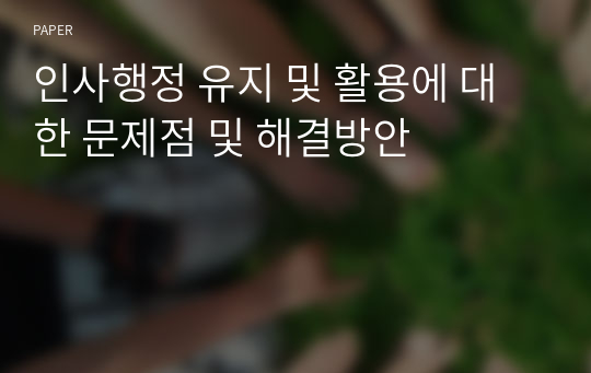 인사행정 유지 및 활용에 대한 문제점 및 해결방안