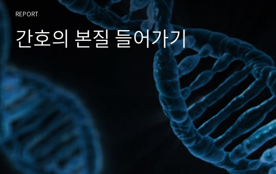 간호의 본질 들어가기