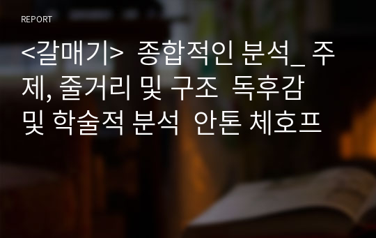 &lt;갈매기&gt;  종합적인 분석_ 주제, 줄거리 및 구조  독후감 및 학술적 분석  안톤 체호프