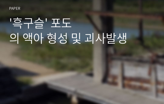 &#039;흑구슬&#039; 포도의 액아 형성 및 괴사발생