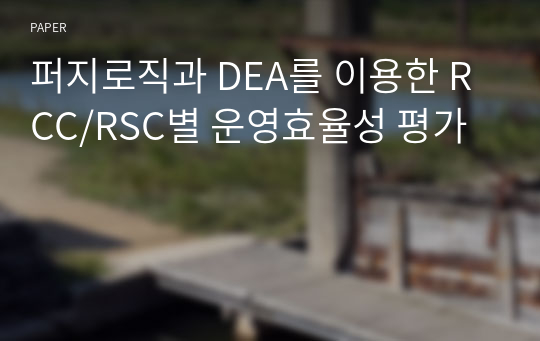 퍼지로직과 DEA를 이용한 RCC/RSC별 운영효율성 평가