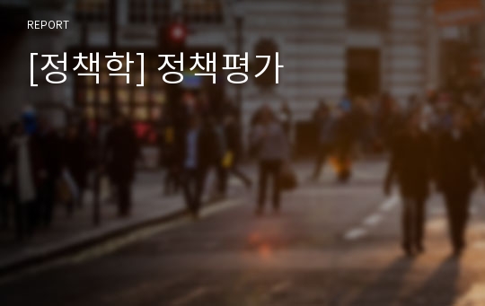 [정책학] 정책평가