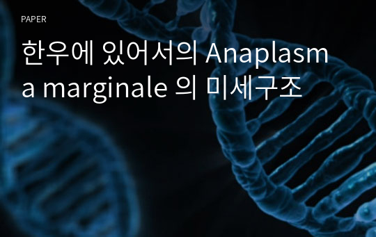 한우에 있어서의 Anaplasma marginale 의 미세구조