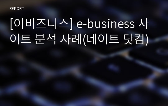 [이비즈니스] e-business 사이트 분석 사례(네이트 닷컴)